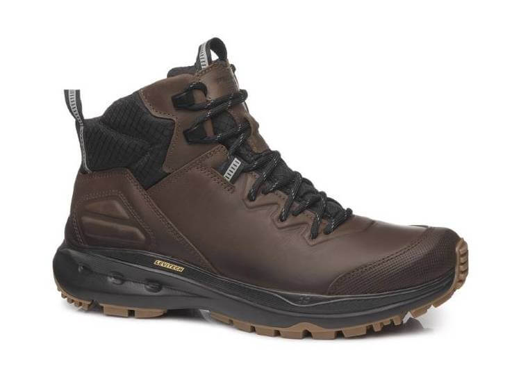 Bota