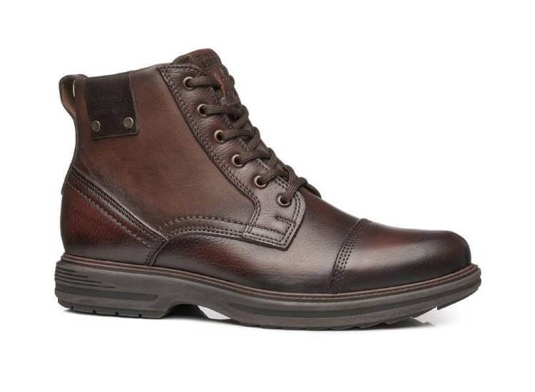 Bota
